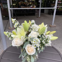 white wonders arrangement