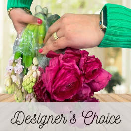 DESIGNER'S CHOICE