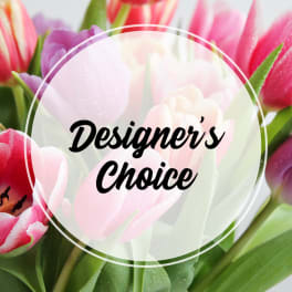 Designer's Choice - $200