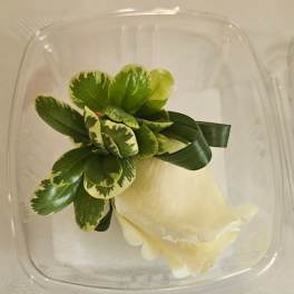 Single cream rose with green variegated leaves in a clear plastic container