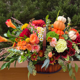 Autumn basket arrangement with orange calla lilies, mixed roses, mums, and mini pumpkins