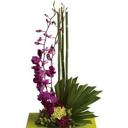 Tall modern arrangement with purple orchids, green hydrangea, and folded foliage in a flat green dish.
