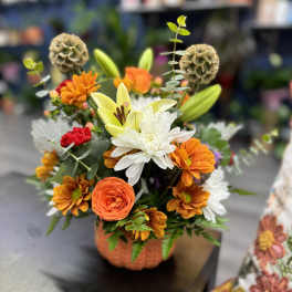 Pumpkin Blooms