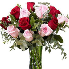 Pink and red roses in bouquet