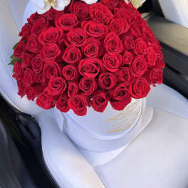 100 Roses + stem of orchids