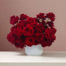 Red roses arranged in a white textured vase