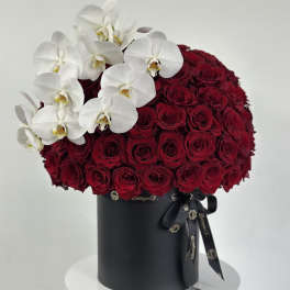 Red roses in a black hatbox with white orchids
