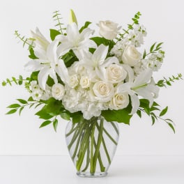 Shades Of White