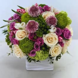 Bouquet of cream and purple roses with green pom flowers in a white vase