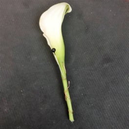 White calla lily boutonniere with a green stem on a dark background