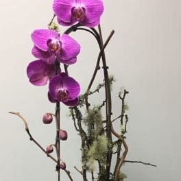 Purple orchid blooms with a succulent and twig accents in a container