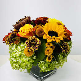 Bouquet of yellow and burgundy flowers in a square glass vase