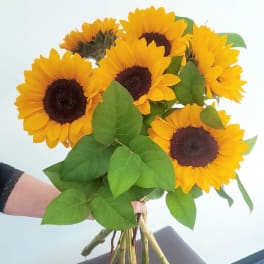 Bouquet of yellow sunflowers with green leaves