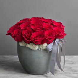 Red roses arranged in a gray pot with a ribbon bow