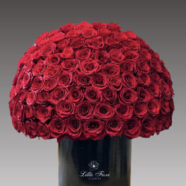 Large dome of red roses in a black cylindrical box