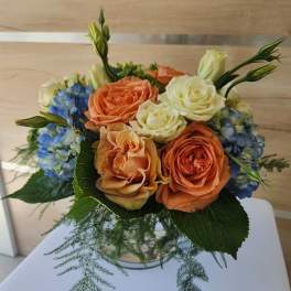 Compact arrangement of peach and cream roses with blue hydrangeas in a clear glass vase with feathery greenery.