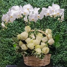 White orchids arch above a basket of cream roses