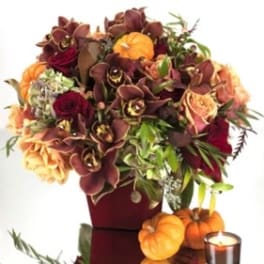Autumn bouquet with orchids, roses, and small pumpkins in a burgundy vase
