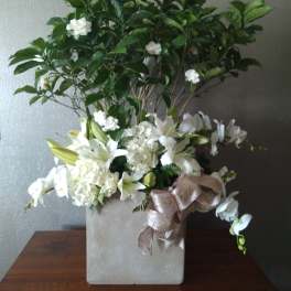 White floral arrangement in a square vase with a tall leafy branch
