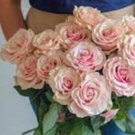 Bouquet of pale pink roses held in front of a person