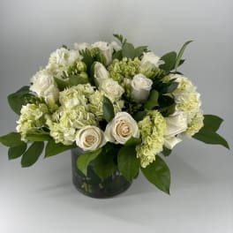 Blanca