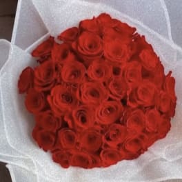 Bouquet of red roses wrapped in white paper