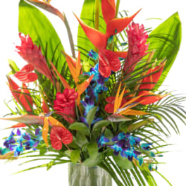 Tropical bouquet in a glass vase with red and orange bird-of-paradise flowers