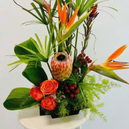 Tropical arrangement with orange birds of paradise, protea, and roses in a low black container