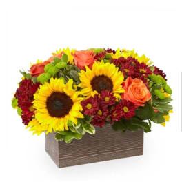 Happy Harvest Garden