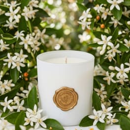White candle in a glass container surrounded by white blossoms