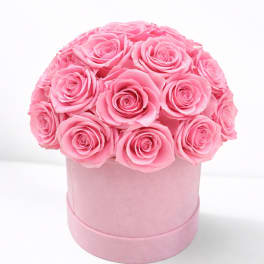 Pink roses arranged in a round pink box