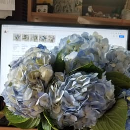 Blue Hydrangea Bouquet