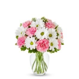 Daisy & Carnation Delight