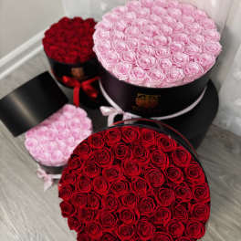 Round boxes filled with red and pink roses