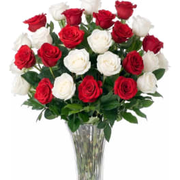 Red and white roses arranged in a clear glass vase