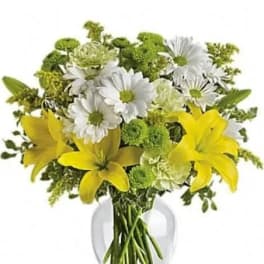 Brightly Blooming