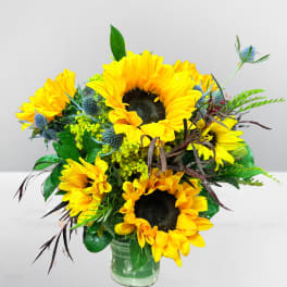Bouquet of yellow sunflowers in a clear glass vase