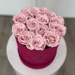 Pink roses arranged in a round magenta box