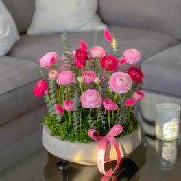 Pink ranunculus arrangement in a round white container with a ribbon