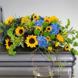 Casket spray of yellow sunflowers and blue hydrangeas with green accents on a silver casket