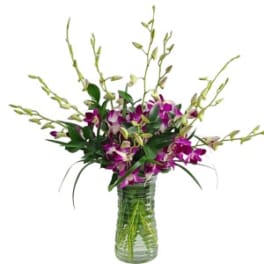 Purple orchids in a clear glass vase with tall branching stems