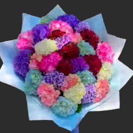 Bouquet of multicolored carnations wrapped in pale blue paper