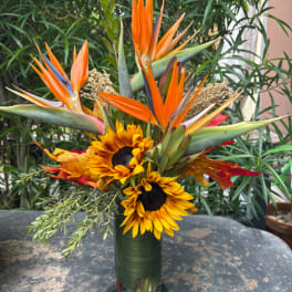 Tropical bouquet with sunflowers and orange bird-of-paradise in a green vase