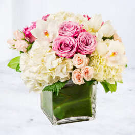 Pink and white roses with hydrangeas in a square glass vase