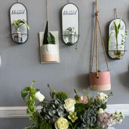 Succulent and rose arrangement in a white wooden box