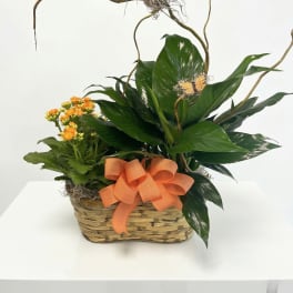 Basket garden with green plants, orange flowers, curly branches, and a decorative bird and bow.