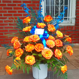 Orange roses in a white pot with blue accent flowers and ribbon