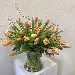 Fresh Tulips