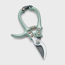 Mint green pruning shears with a curved silver blade
