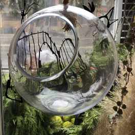 Clear hanging glass orb with a circular opening, surrounded by greenery